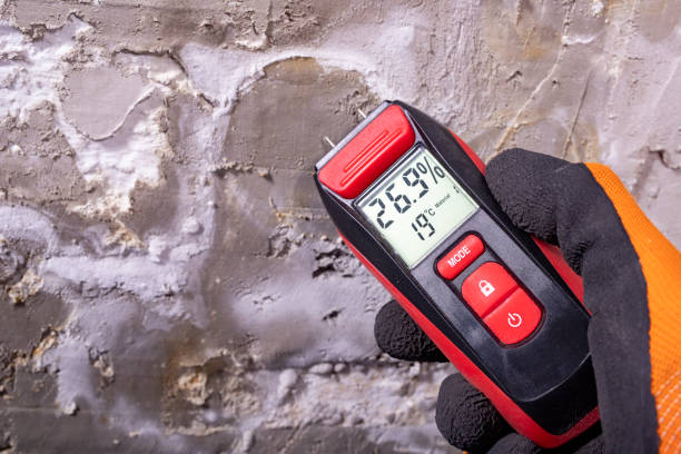 Best Emergency Mold Removal  in Eastover, NC