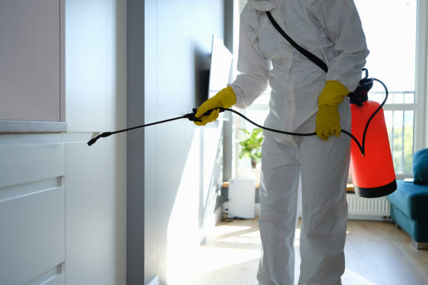 Best Local Mold Removal Service  in Eastover, NC